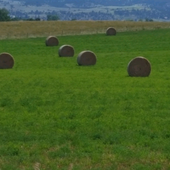 Meet your Posher, Shellie - Picture 5 of 6